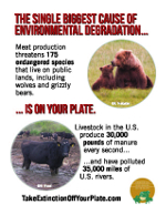 Take Extinction Off Your Plate cards