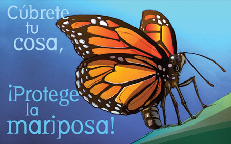 MARIPOSA MONARCA