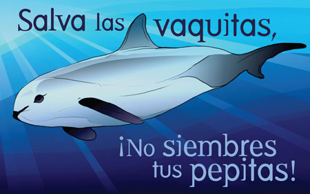 VAQUITA