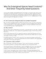 Endangered Species Condoms FAQs